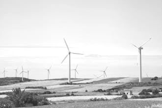 inBalance gallery image