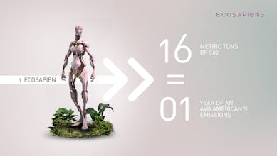 Ecosapien Carbon-Collectible gallery image