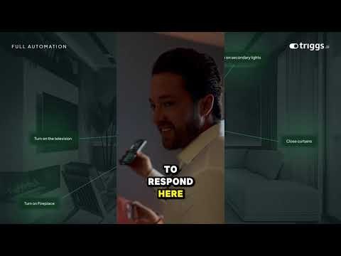 Triggs AI gallery image