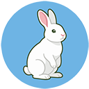 marpy.io