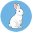 marpy.io