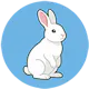 marpy.io