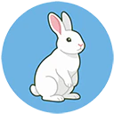 marpy.io logo