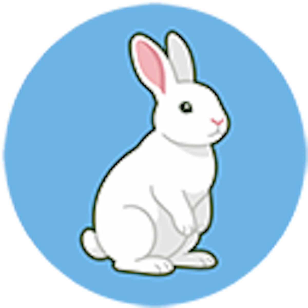 marpy.io
