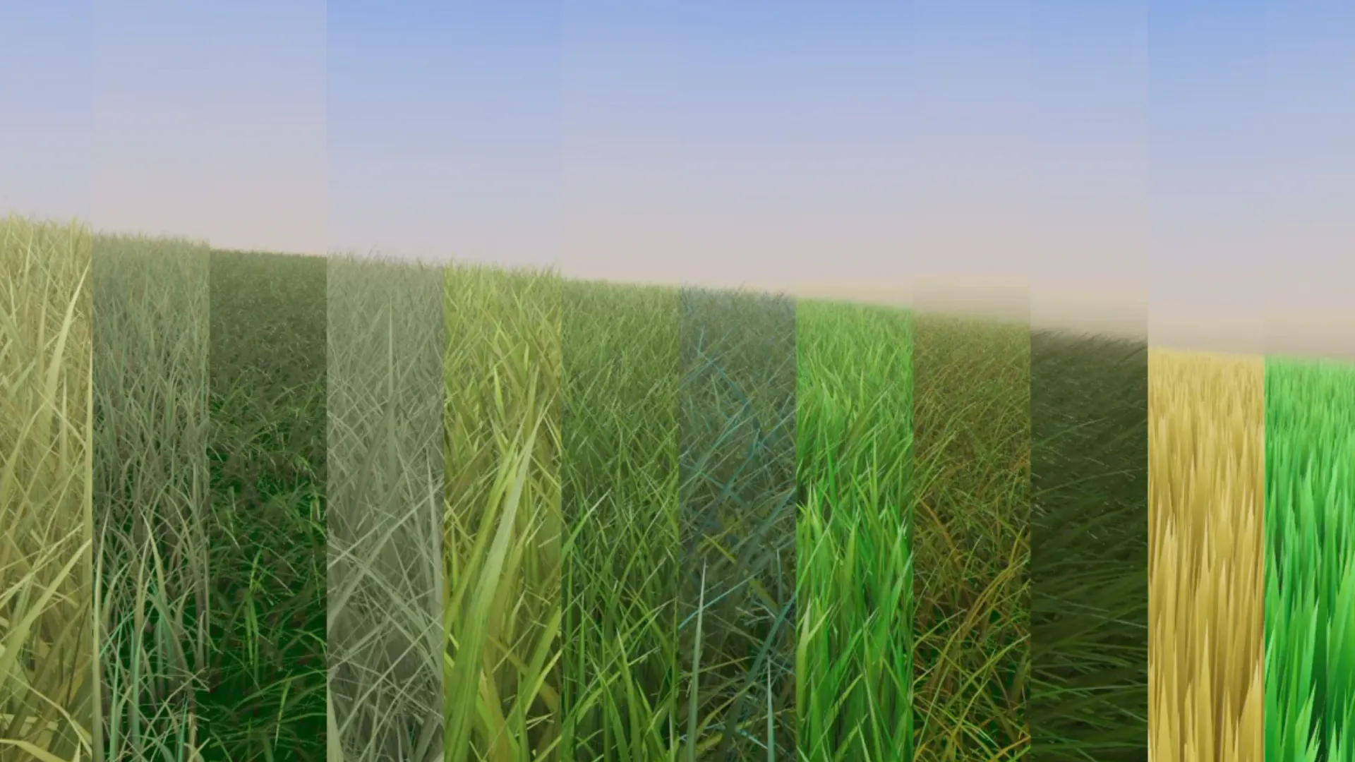 Three.js Grassworks gallery image