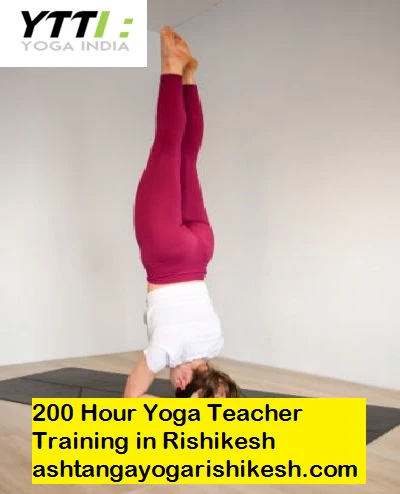 200 Hour Yoga Teacher Training Rishikesh