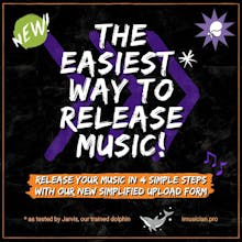 iMusician - Digital Music Distribution gallery image