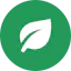 Rainforest QA