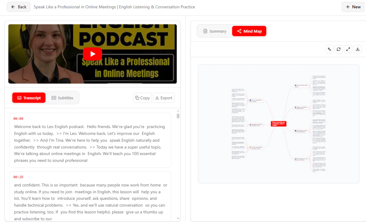 YouTube to Transcript AI gallery image