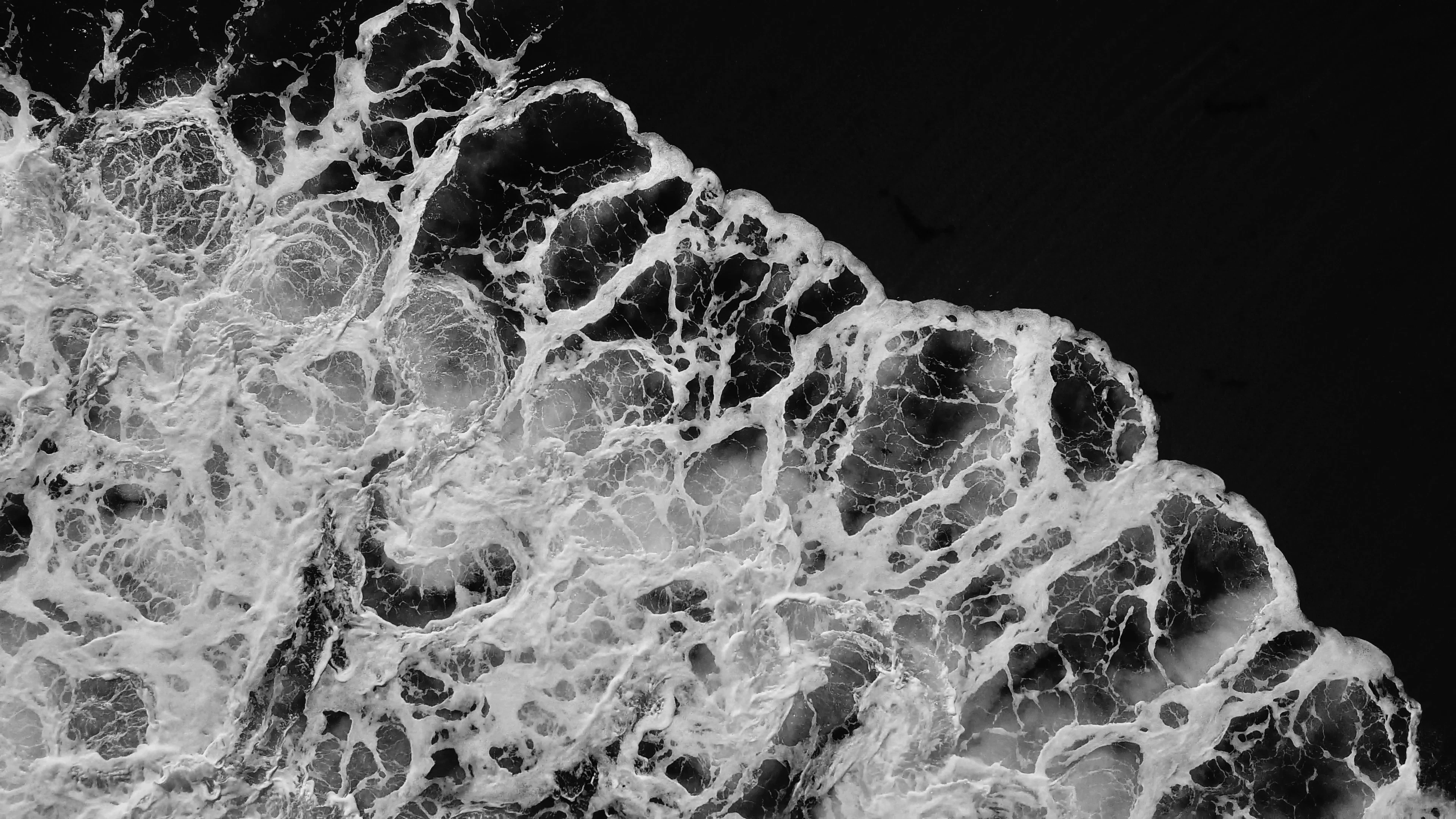 Jason Schuller cover