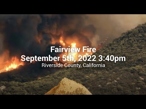 Watch Duty gallery image