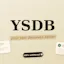 YSDB — Your Skin Deserves Better