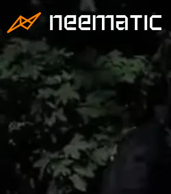 Neematic