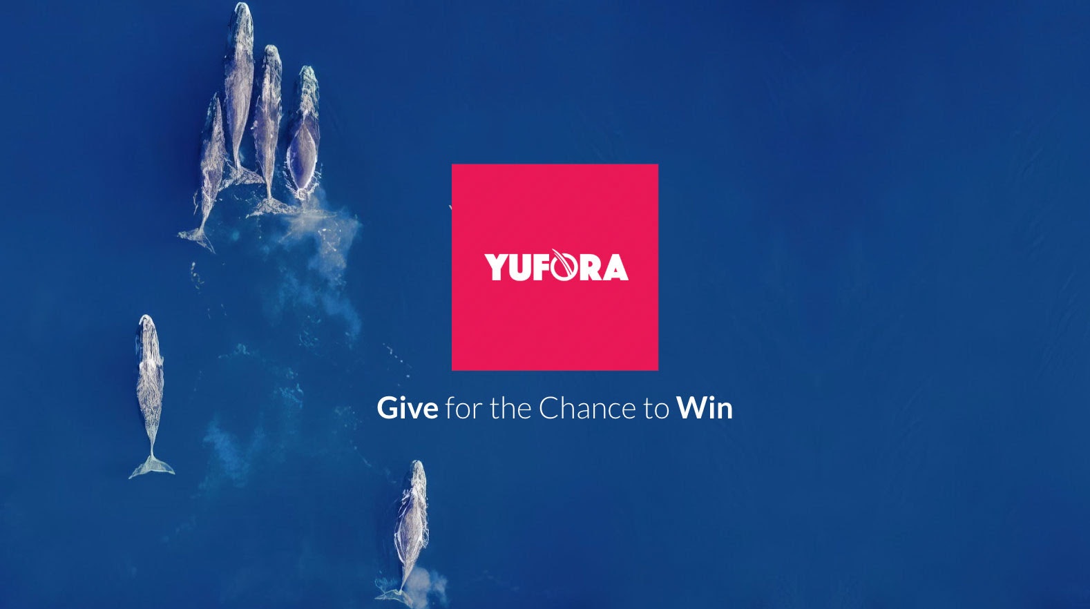 Média Juphore - Donner la chance de gagner 1