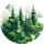 Evergreen Essays