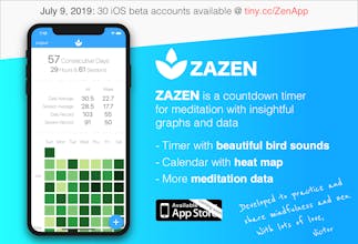 Zazen : Early Access Beta-Accounts gallery image