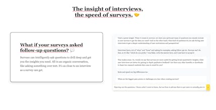 Survues gallery image