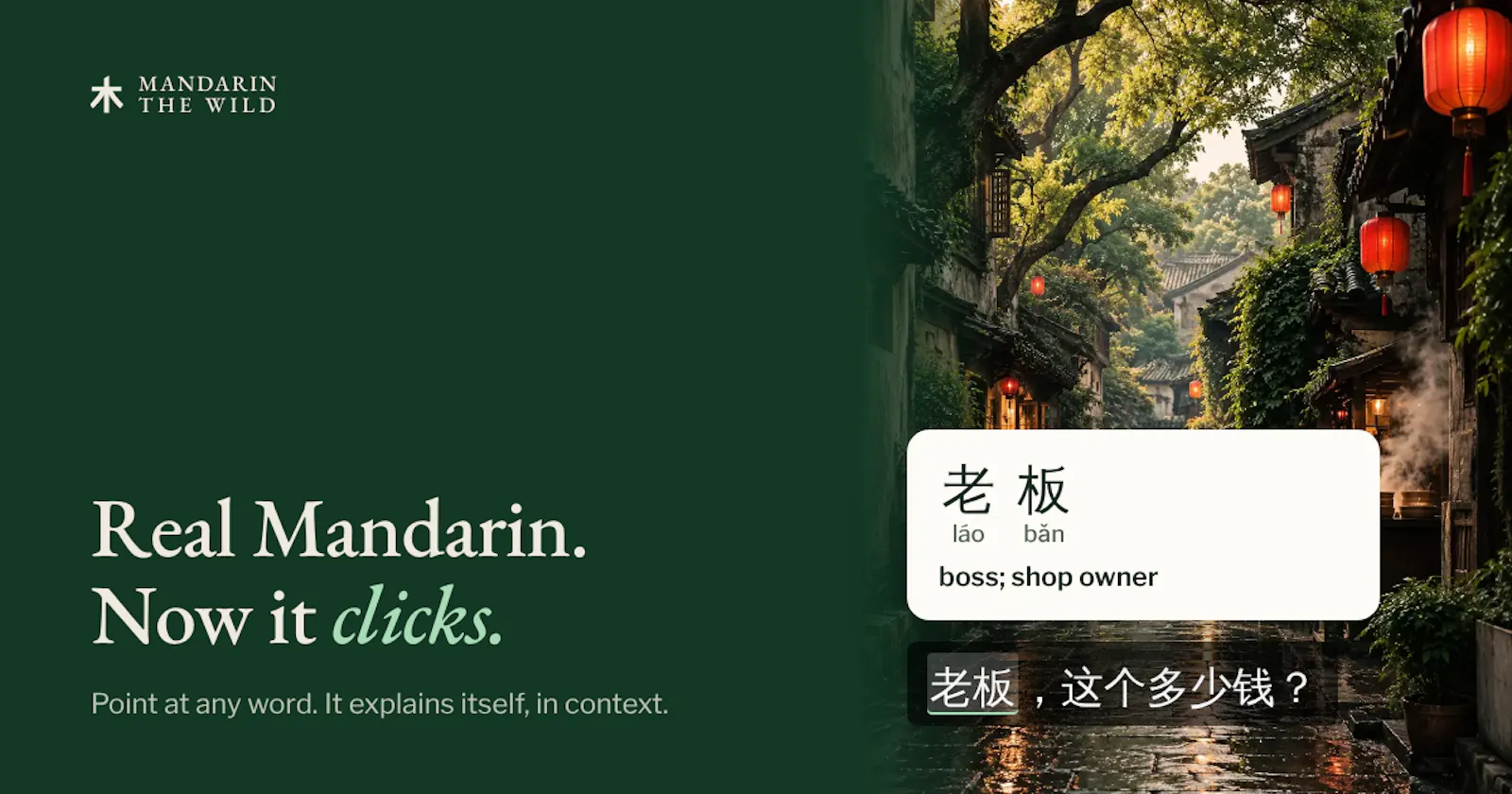 Mandarin The Wild screenshot 2