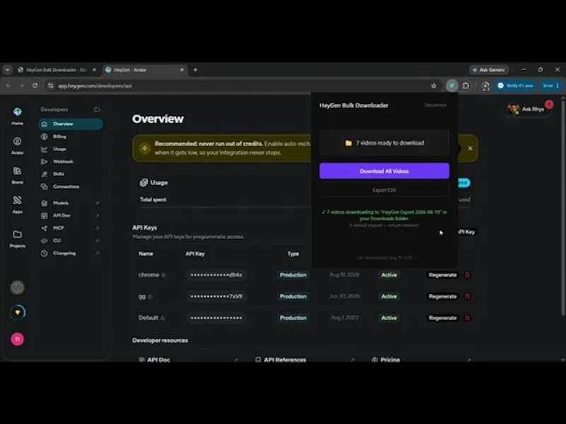 HeyGen Bulk Downloader screenshot 1 (video preview)