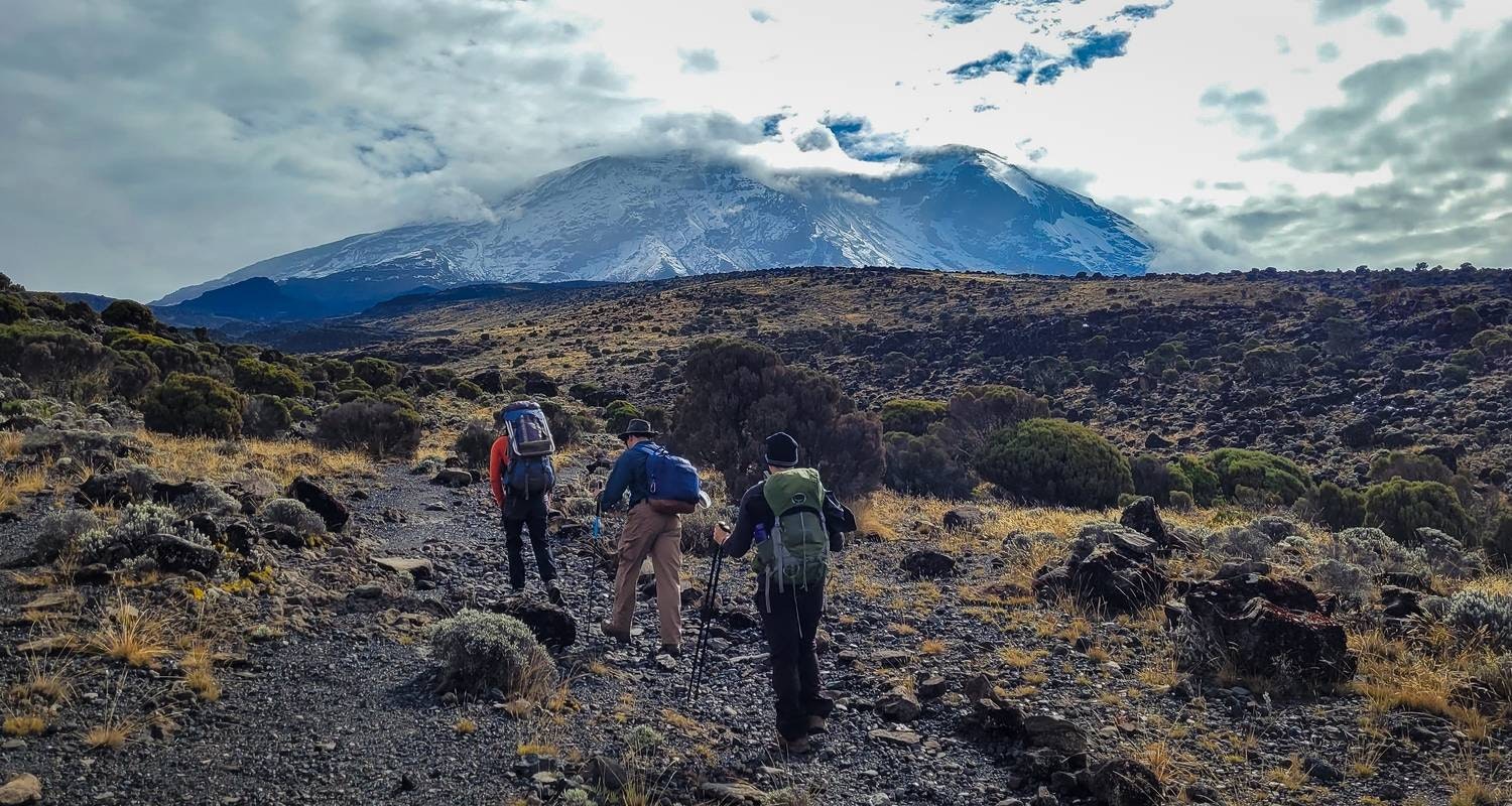 Africantrust Safari media 52