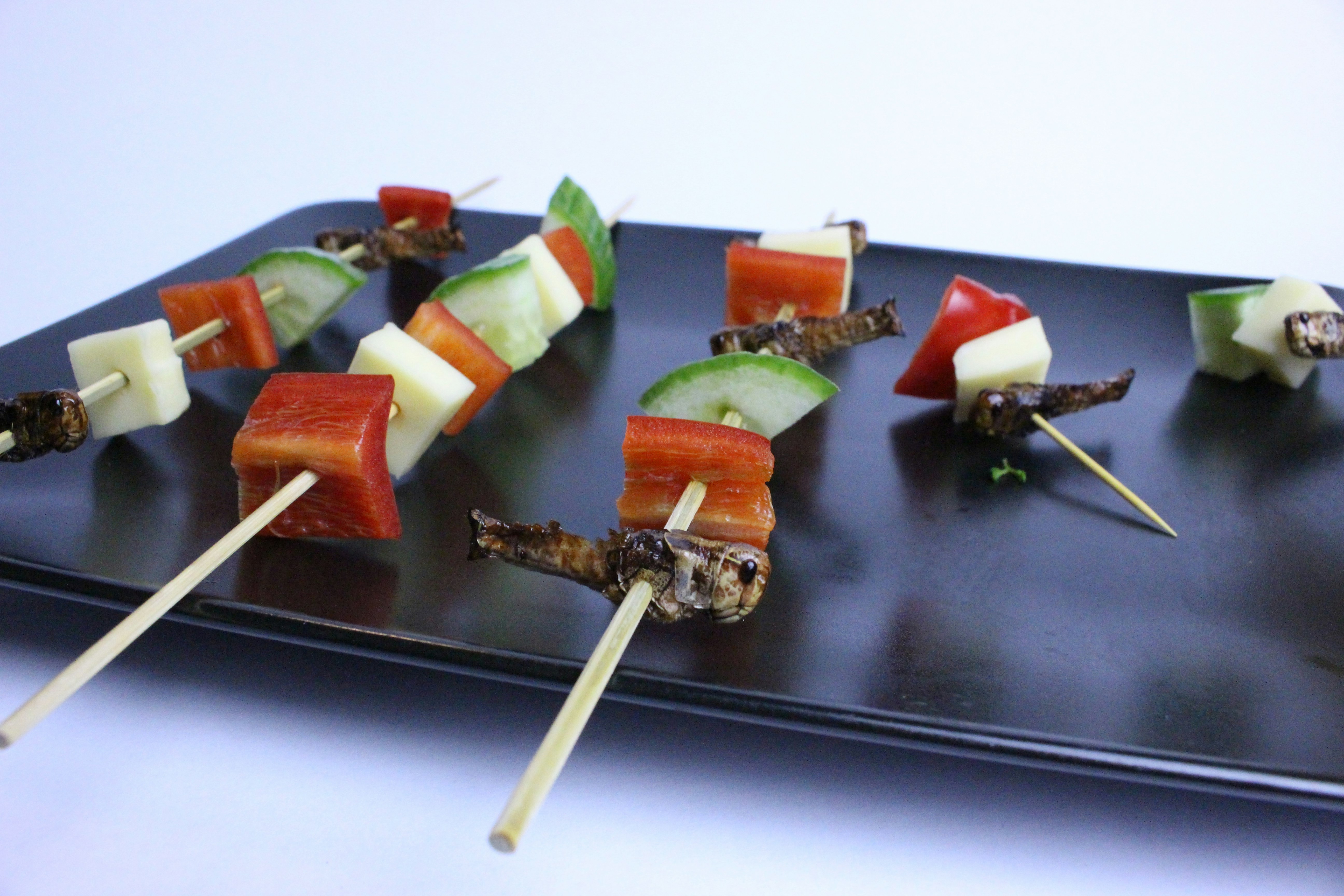 Catch-your-bug gallery image