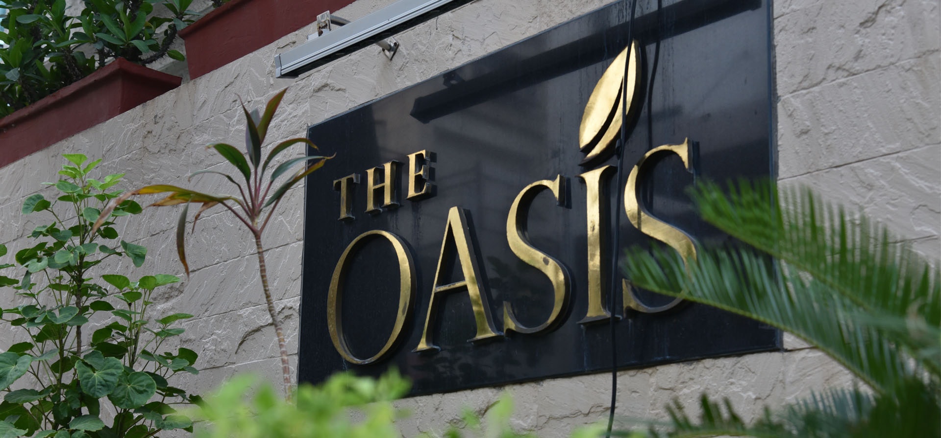 News n Updates gallery image