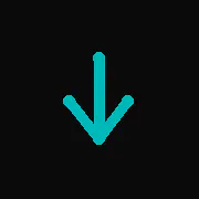 NoBS Video Downloader