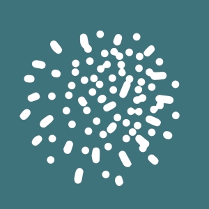 echo for Microsoft T... logo