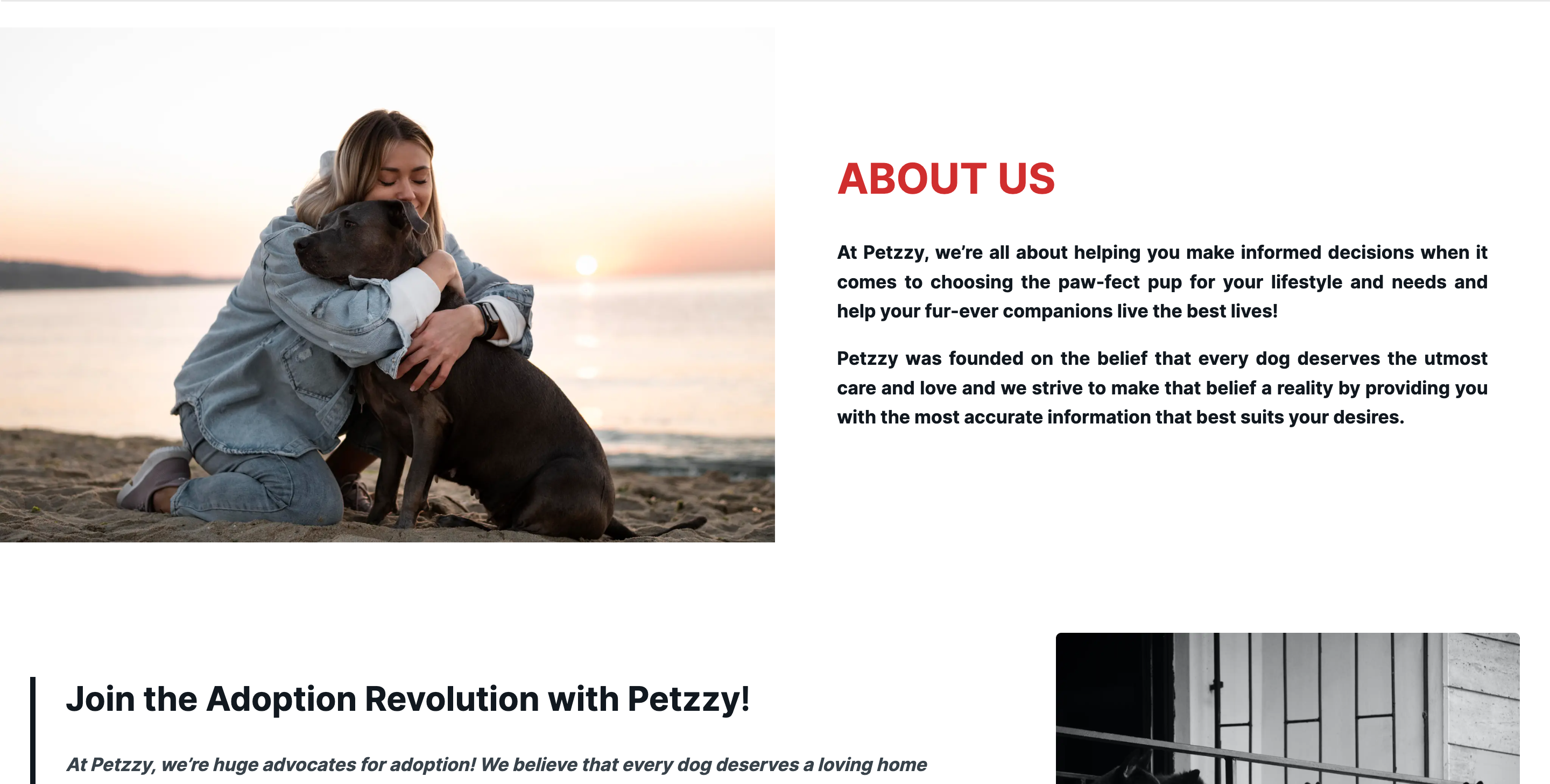 وسائط petzzy - دليل paw-fect لأبوة الحيوانات الأليفة! 3