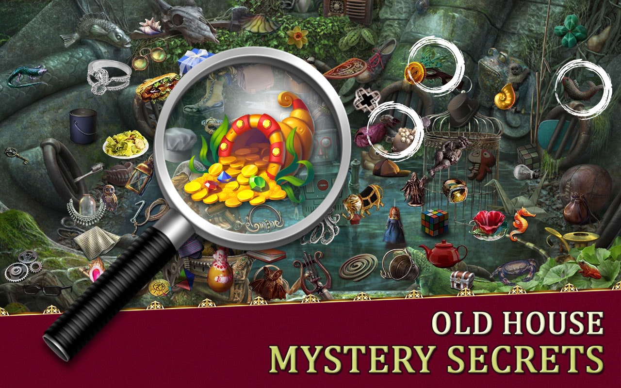 Hidden Object Game : House Mystery gallery image