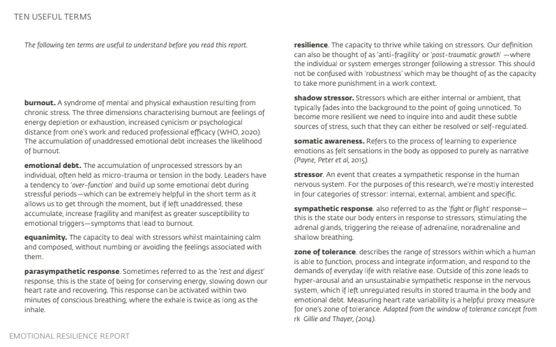 The Emotional Resilience Report gallery image