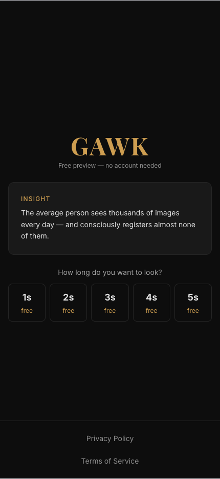 GAWK gallery image