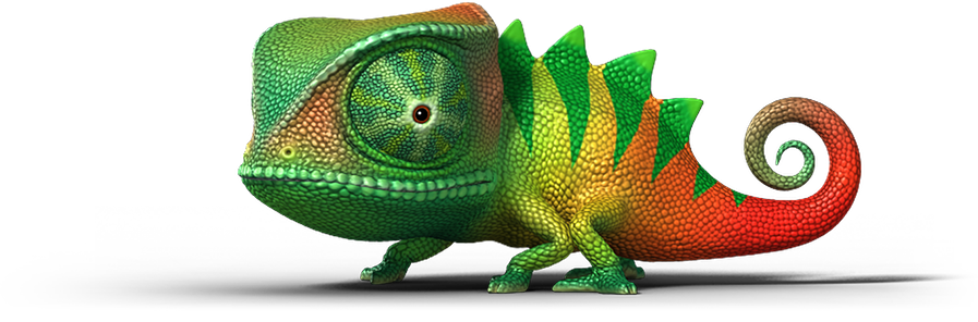 liteCam gallery image