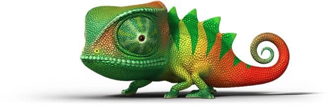 liteCam gallery image