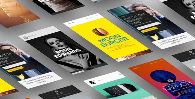 Panther gallery image