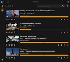 VidArchive gallery image