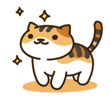 How Good Is My Cat's Name