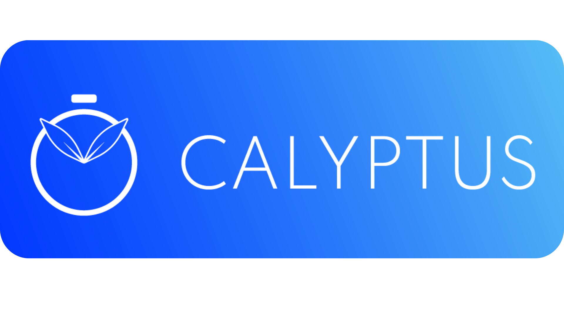 Calyptus media 1
