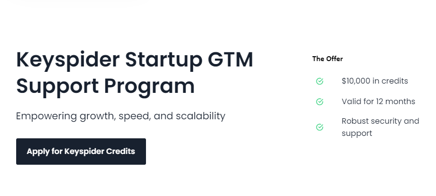 Programa de soporte de Startup GTM de KeySpider media 3
