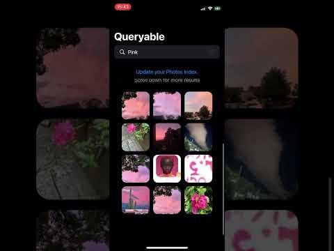 Queryable gallery image