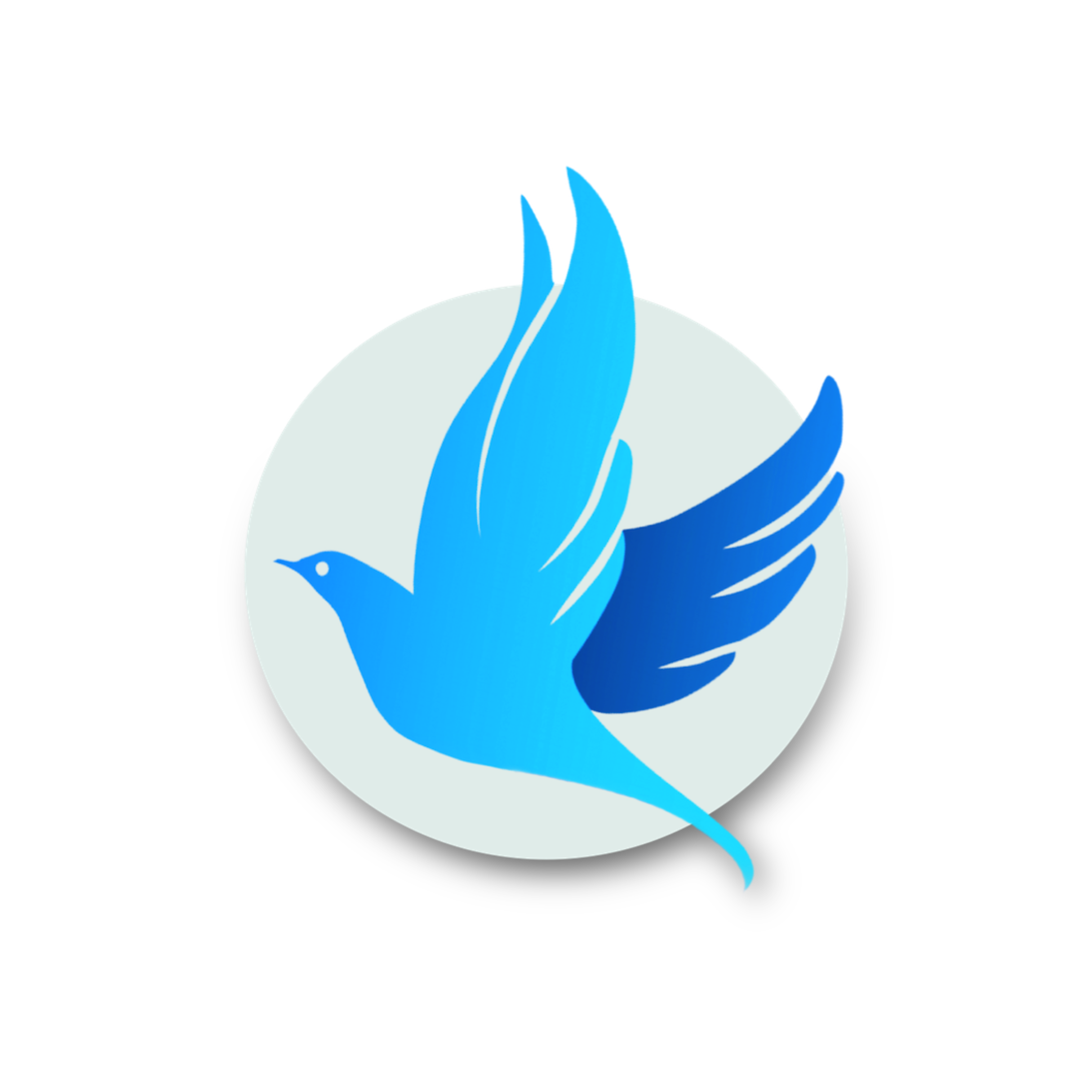 ICARUS : Social Media Influencers