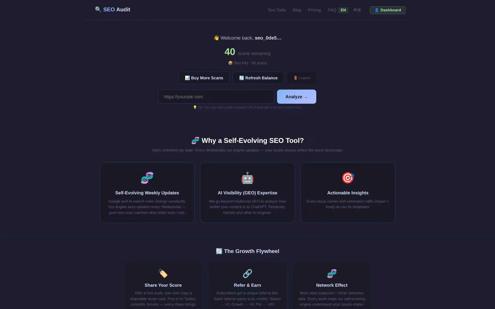  textools SEO Audit screenshot 2