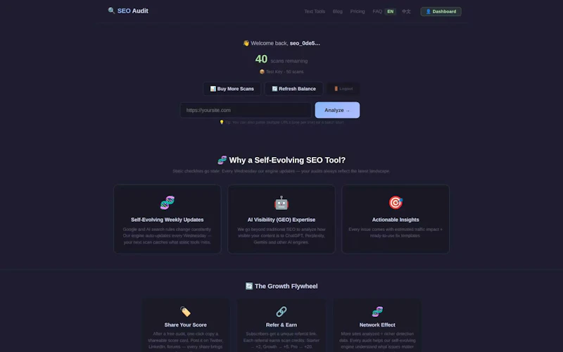  textools SEO Audit screenshot 2