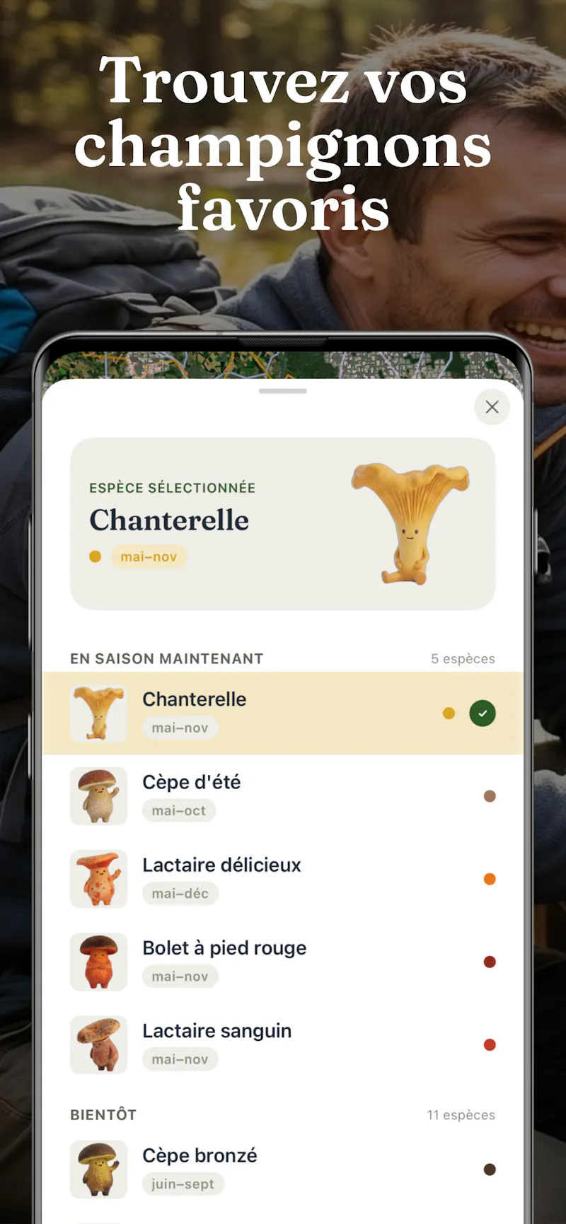 Champi screenshot 2