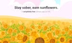 Sunflower iOS App image