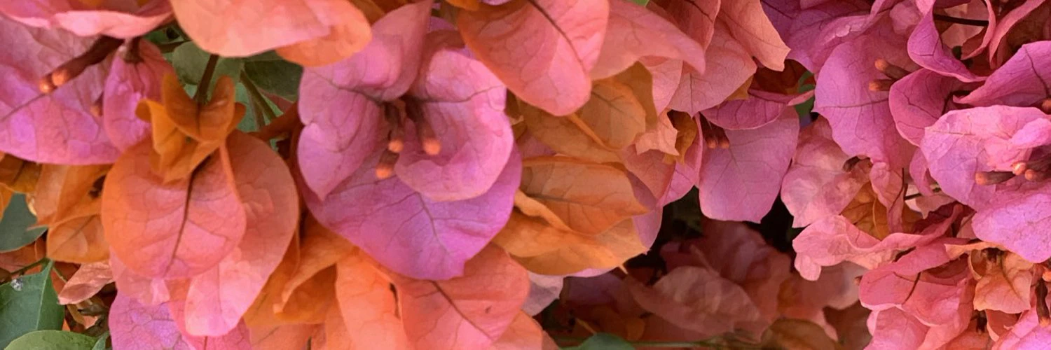 Kasey F Hickey cover