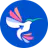 Colibri Diagrams