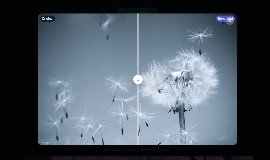 AI Image Upscaler gallery image