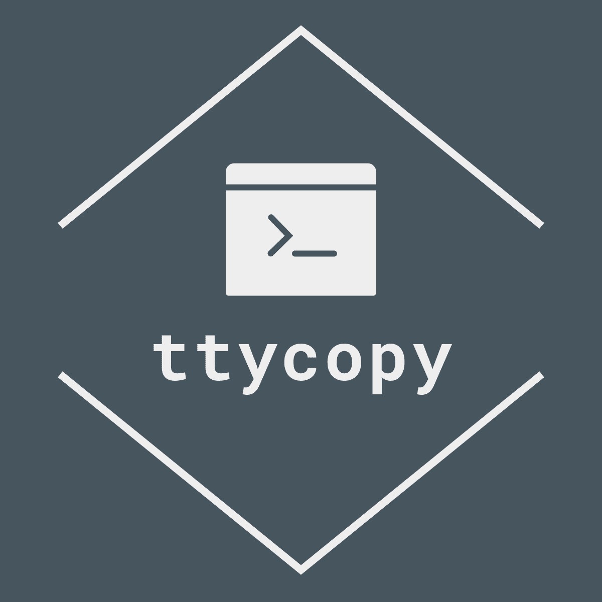 ttycopy
