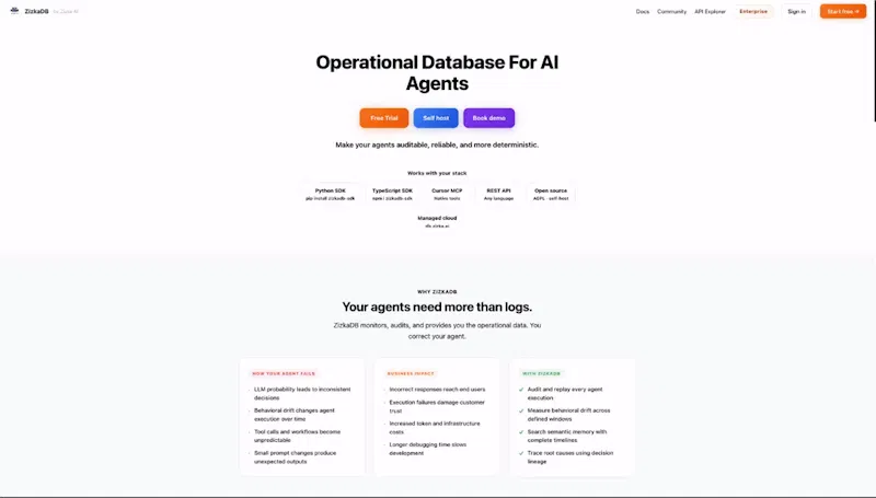 ZizkaDB screenshot 1 (video preview)